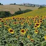 Casa Il Girasole Con Piscina Nelle Marche *