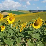 Casa Il Girasole Con Piscina Nelle Marche * ماشيراتا