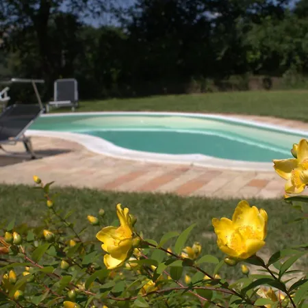 Casa Il Girasole Con Piscina Nelle Marche Casa rural *