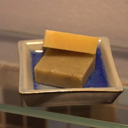 Casa Il Girasole Con Piscina Nelle Marche Landhuis