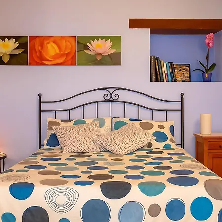 Kır Evi Casa Il Girasole Con Piscina Nelle Marche *