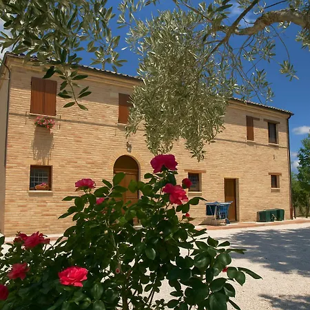 Kır Evi Casa Il Girasole Con Piscina Nelle Marche