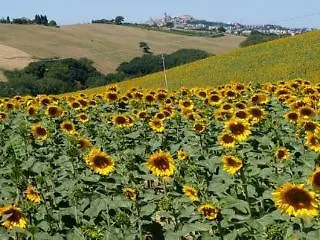 Casa Il Girasole Con Piscina Nelle Marche *