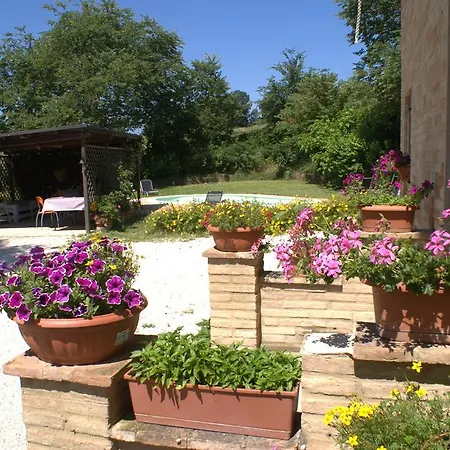 Casa Il Girasole Con Piscina Nelle Marche *