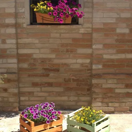 Casa Il Girasole Con Piscina Nelle Marche