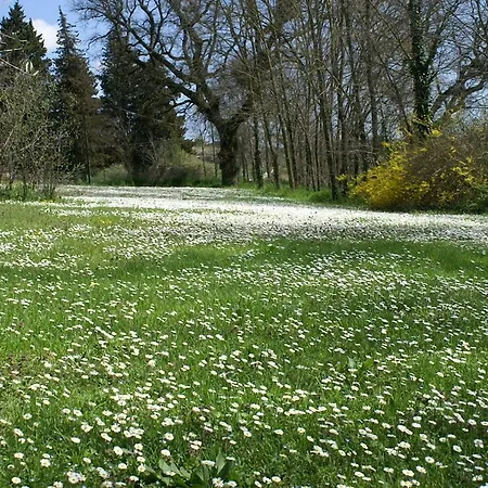 Landsted Casa Il Girasole Con Piscina Nelle Marche Macerata