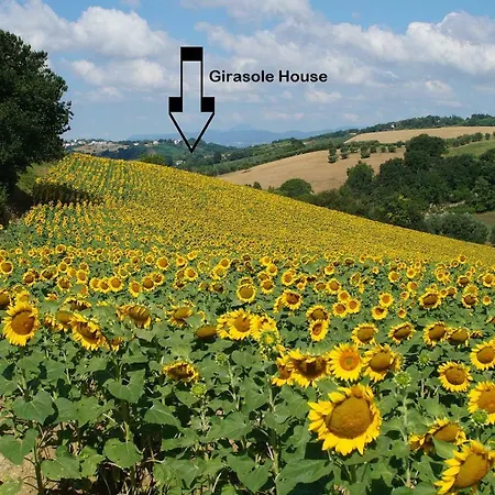 Casa Il Girasole Con Piscina Nelle Marche